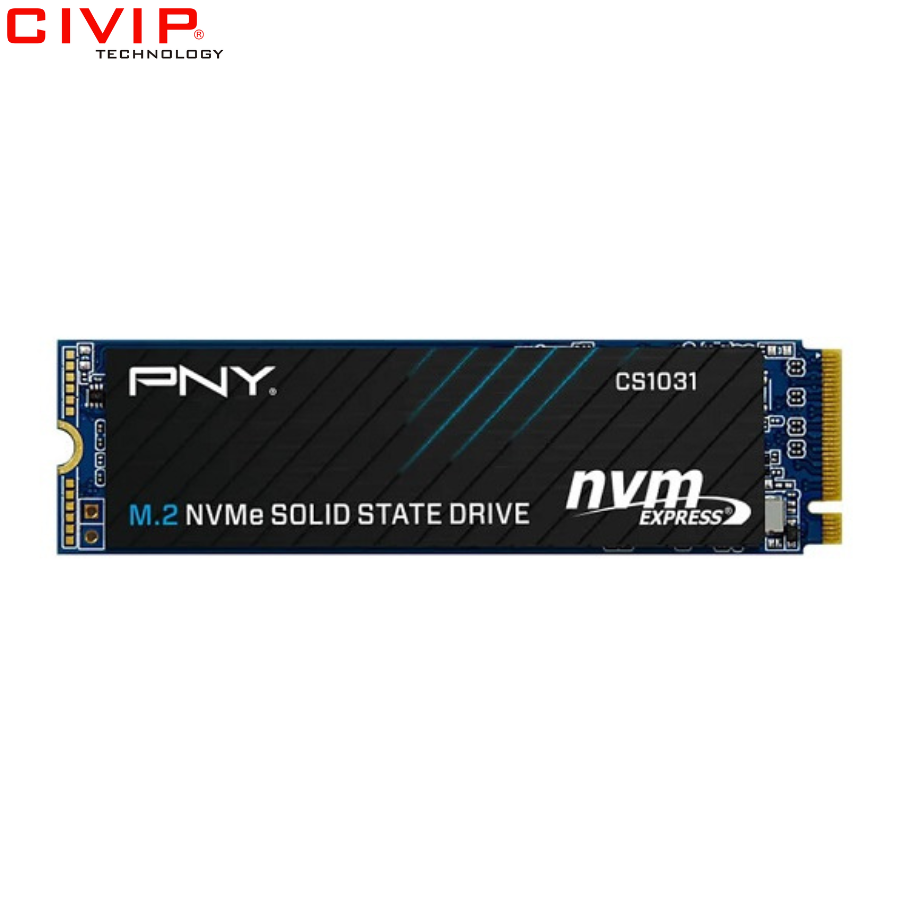 Ổ cứng SSD PNY CS1031 256GB NVMe M.2 2280 (M280CS1031-256-CL)