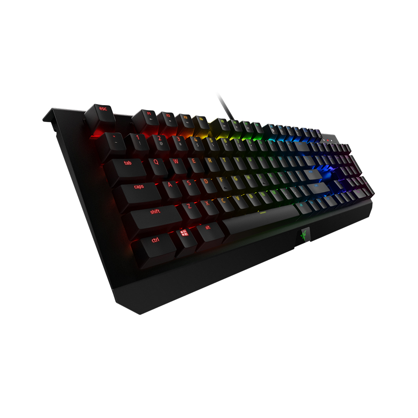 Bàn phím cơ Razer BlackWidow X Chroma (RZ03-01760200-R3M1)