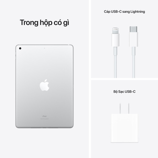 Apple iPad Gen 9th 10.2-inch Wi-Fi 256GB (MK2P3ZA/A) - Màu bạc