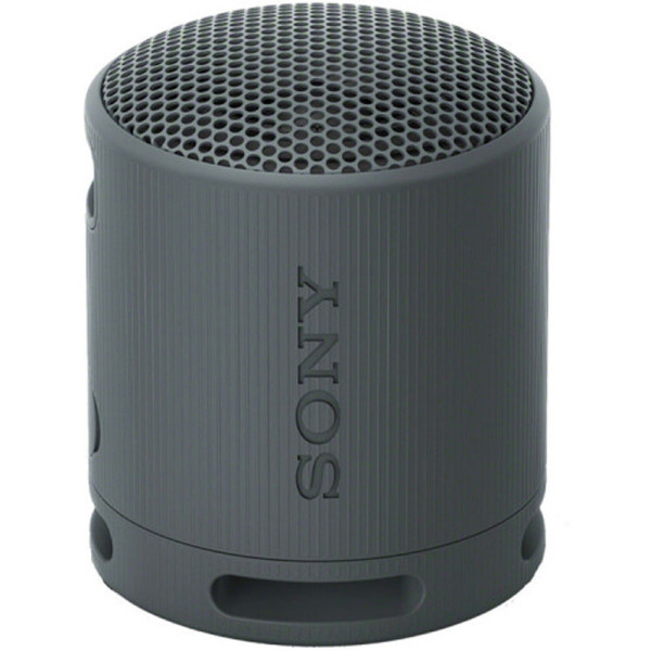 Loa Bluetooth Sony SRS-XB100/BCE - Màu đen 