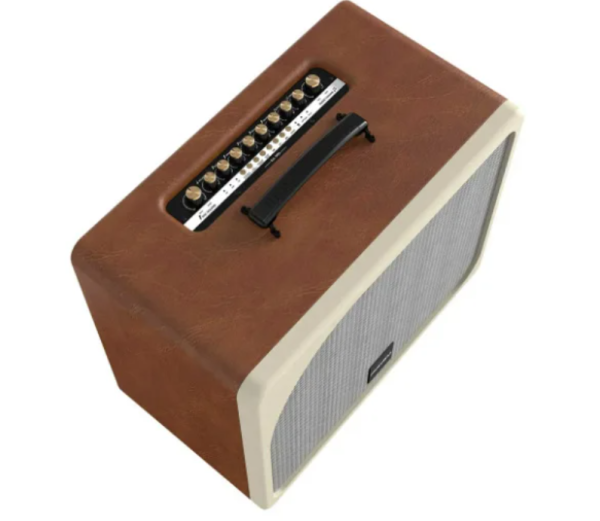 Loa Paramax Evox (Nâu)