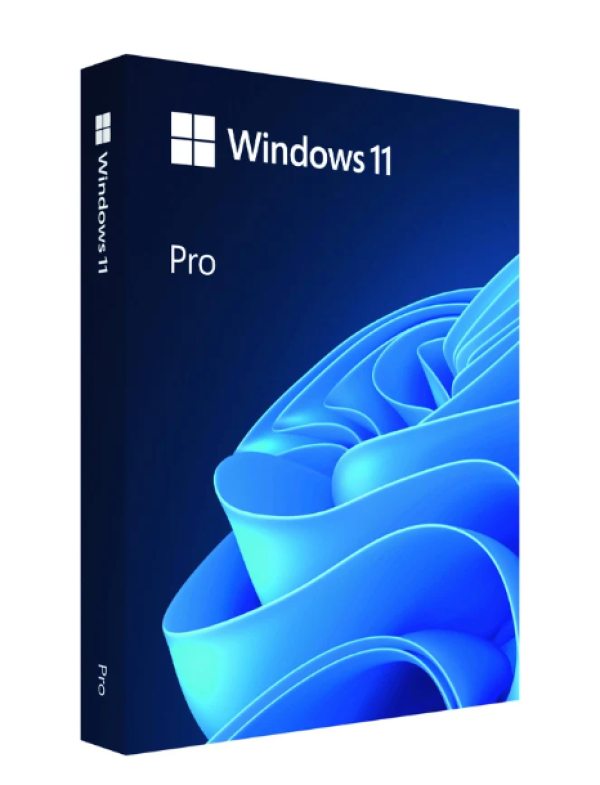 Phần mềm Microsoft Windows Pro 11 64Bit USB FPP/HAV-00163