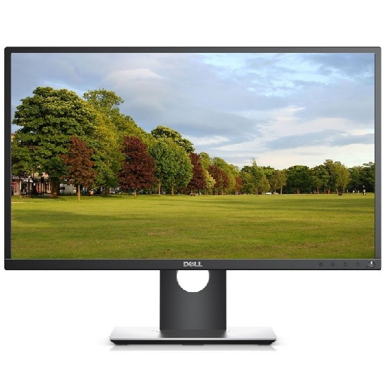 Màn hình LCD Dell 24 P2417 (23.8inch/Full HD/IPS/6ms/60Hz/250 cd/m²)
