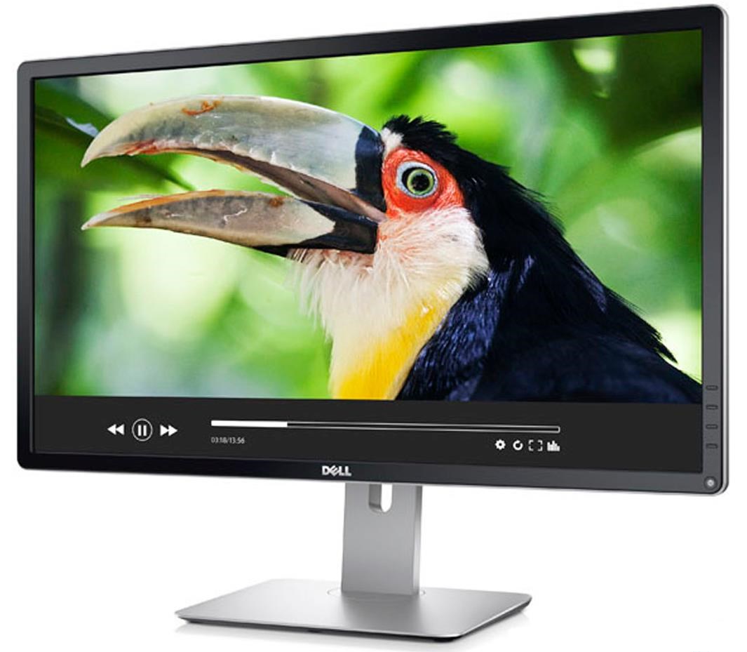 Màn hình LCD Dell P2415Q (23.8inch/IPS/4K/6ms/60Hz/300cd/m2)