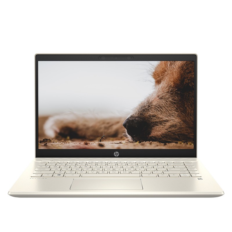 Laptop HP Pavilion 14 ce2041TU (i5 8265U/4GB/120GB SSD M.2 Sata + 1TB/14 inch/Win10) - 6ZT94PA
