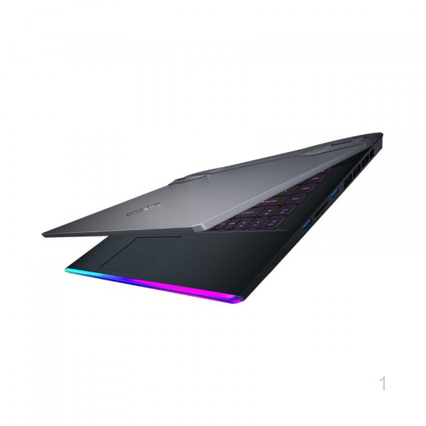 Laptop MSI Gaming GE66 Raider 10SF(044VN) (i7 10750H/16GB/1TB SSD/RTX 2070 8G/15.6 inch FHD 240Hz / Win10)