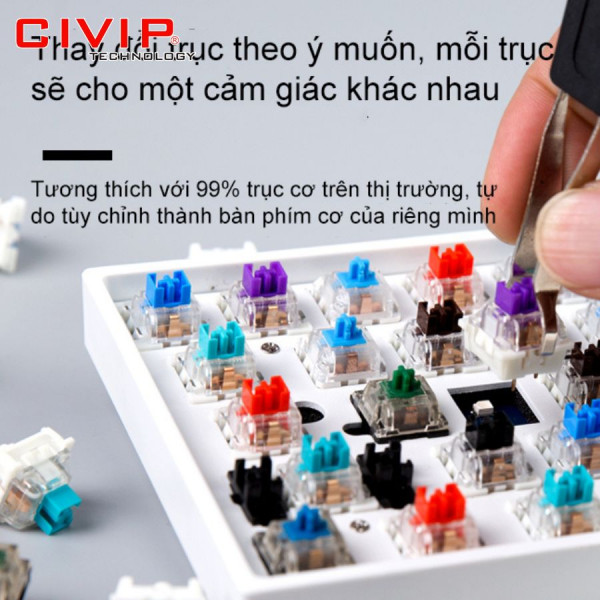 Bàn phím cơ không dây NEWMEN Dual Mode GM680 White Red - Switch G-Pro Red (Bluetooth 5.0/Type C/Keycap Rồng-Hổ)