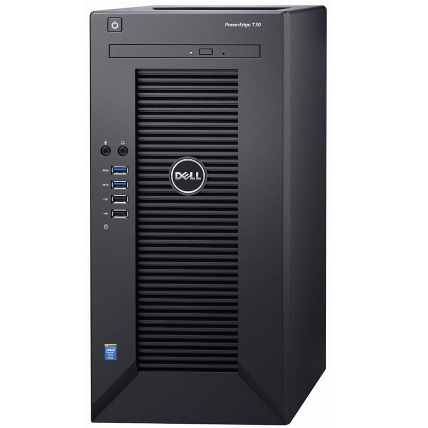 Server Dell PowerEdge T30 (Xeon E3-1225v5 3.3Ghz/8GB ECC RAM/1TB/DVD-RW/Dos)