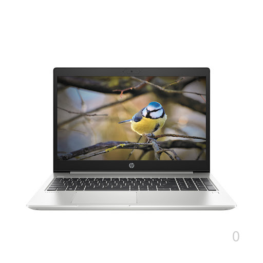 Laptop HP Probook 450 G7 (i5 10210U/8GD4/256GSSD/15.6inch FHD/BẠC/Win10/2G_MX250)